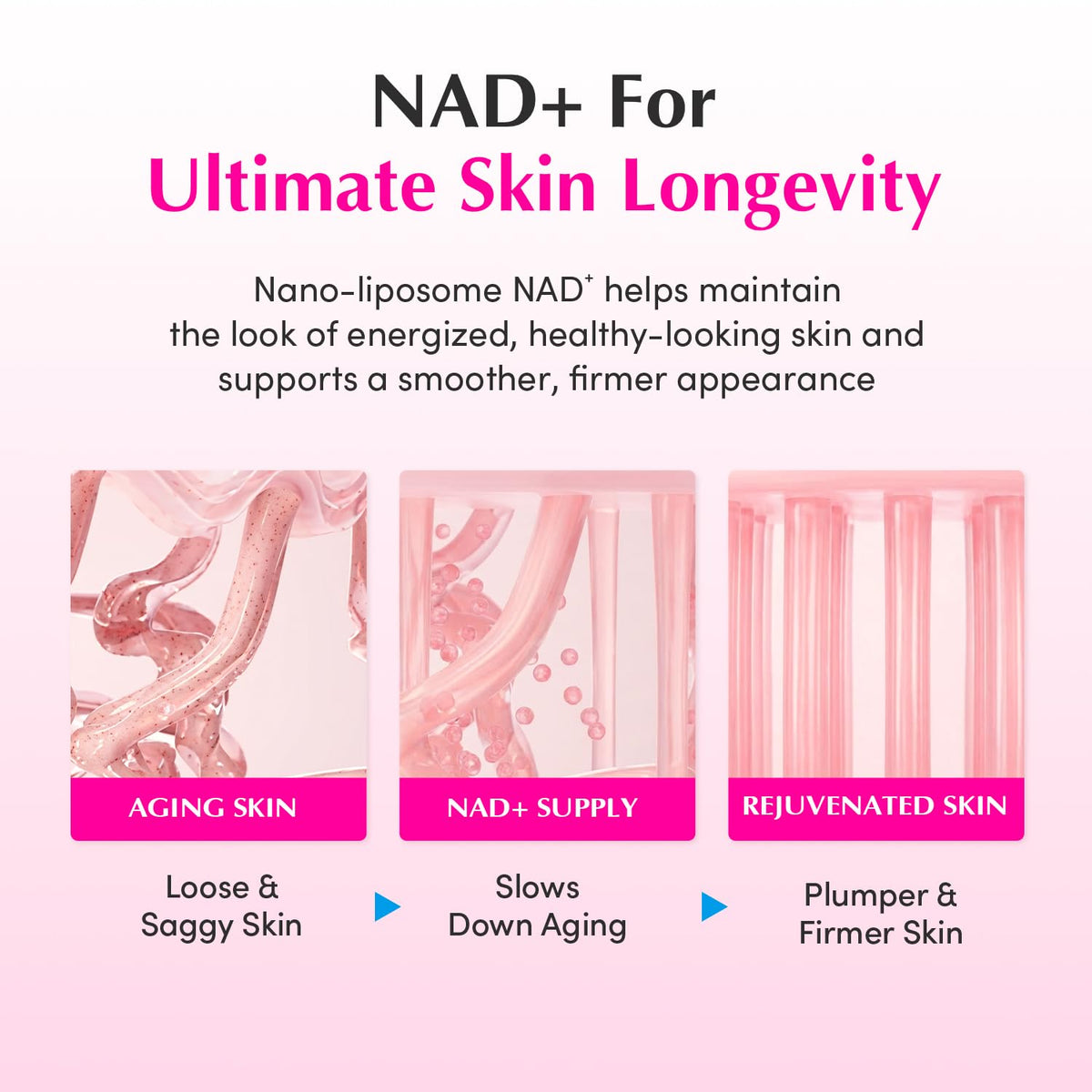 EQQUALBERRY NAD+ Peptide Boosting Cream Double Pack | NAD+ 5% & 13 Peptides Anti-Aging Korean Skincare Face & Body Cream | Firming & Lifting Pink Neck Cream for Sagging Skin, 1.69 fl.oz (Pack of 2)